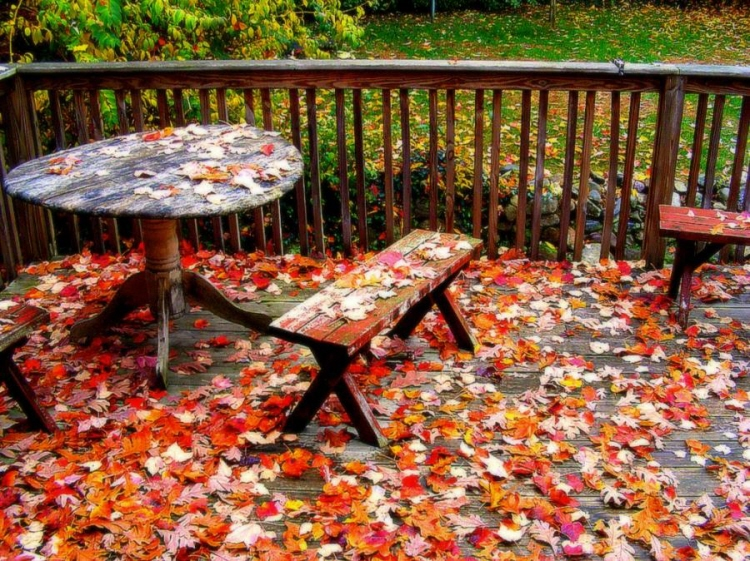 ����ũ��� ����